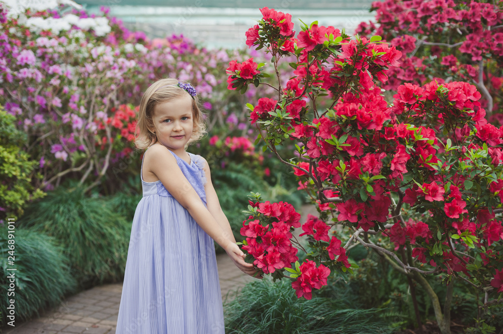 girl sniffing flowers of azaleas. flowering azaleas in the park girl sniffing flowers of azaleas. flowering azaleas in the park