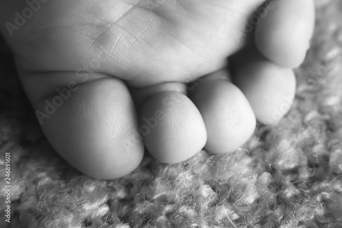 baby foot toes closeup photo