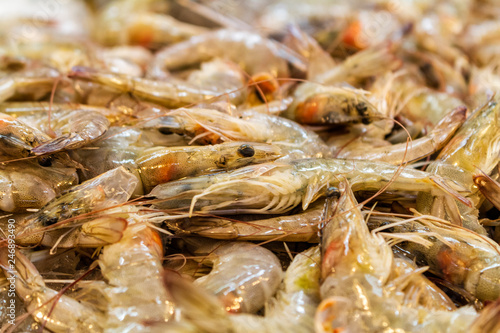 shrimp counter for sale, fish market