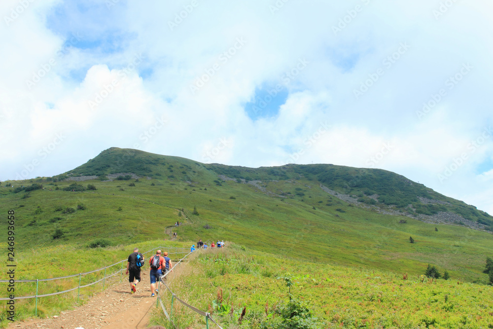 Obraz premium July 12/2018: Tarnica. Highest mount in Bieszczady Mountains, Bieszczadzki National Park, Poland