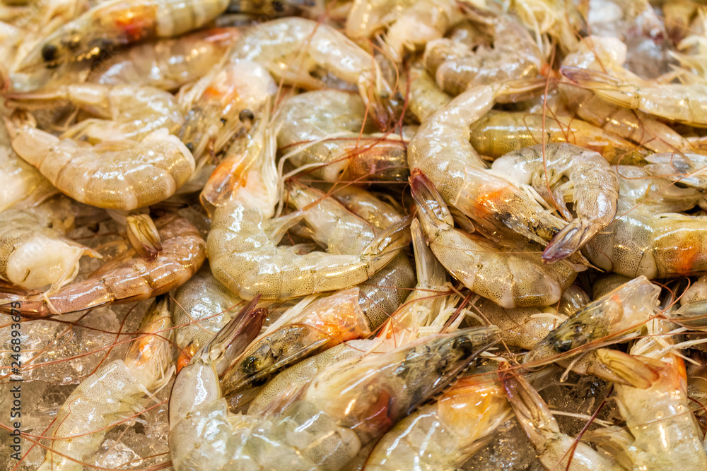 shrimp counter for sale, fish market