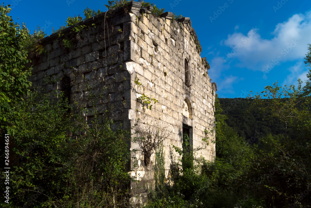 Abandoned stone house in the mountains, overgrown with shrubs and trees.
