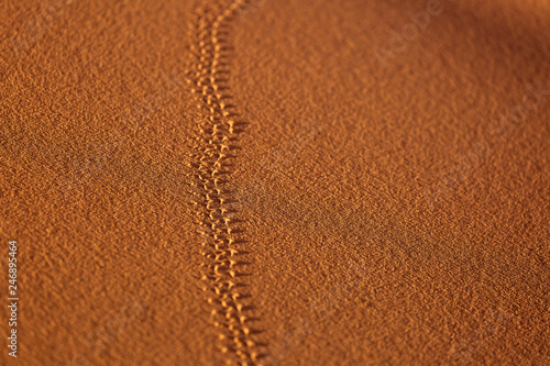 Traces of a bug in sands in Desert Sahara with beautiful lines and colors at sunrise. Merzouga, Morocco