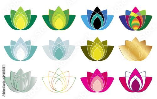 LOTUS COLORÉ