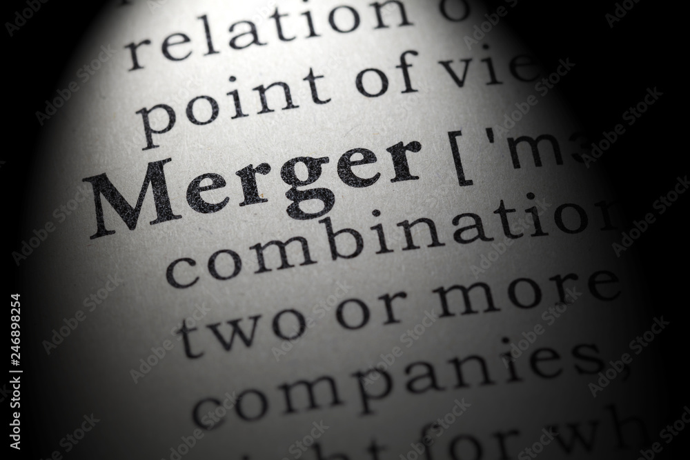 definition of merger