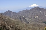 早春の西丹沢に富士山重なる