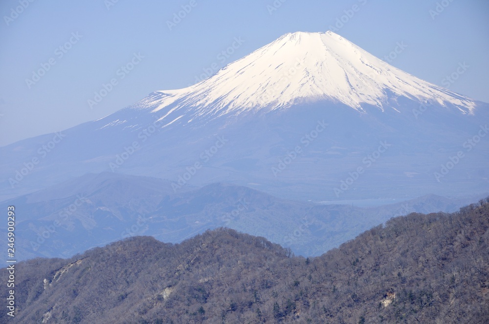 Fototapeta premium 丹沢山地からの富士山の展望