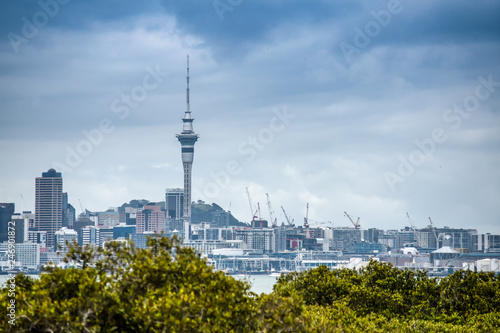 A beautiful photo of Auckland city with lots of cranes building appartment buildings