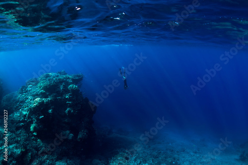 Free diver underwater in ocean with rocks and corals