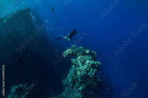 Free diver underwater in ocean with rocks and corals © artifirsov