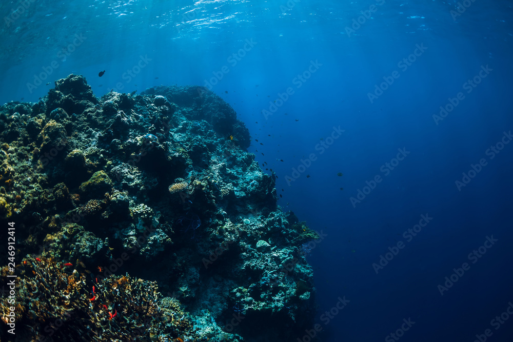 Wildlife in underwater with reef, corals and tropical fish.