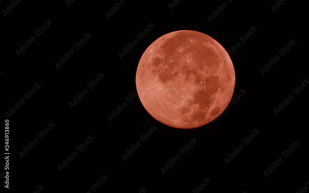 Fototapeta premium Super full moon in the dark night