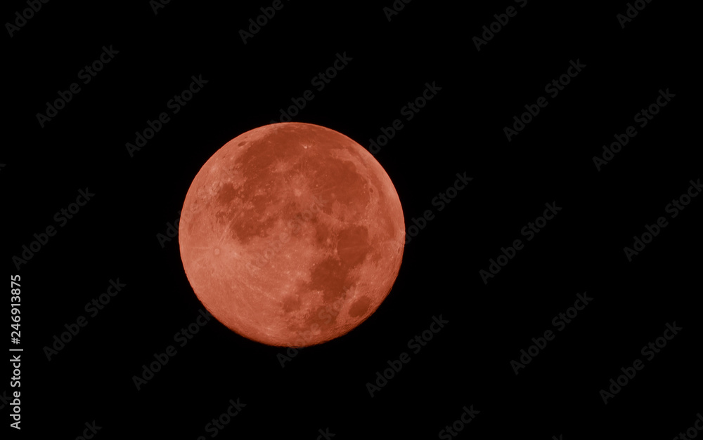 Fototapeta premium Super full moon in the dark night