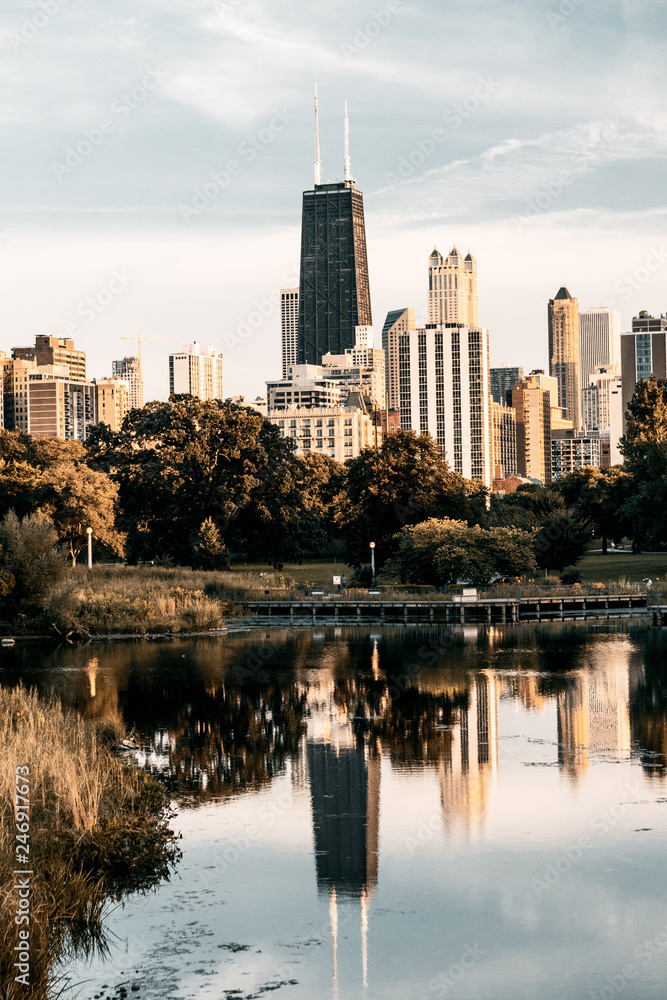 Naklejka premium Chicago Architecture 