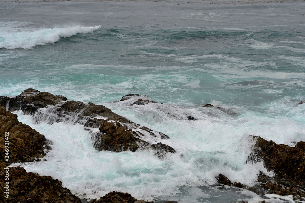 Pacific Ocean along the 17 miles road. California, USA