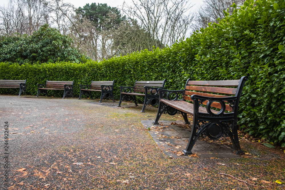 Park bench with green bush behind