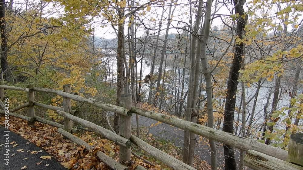 4K Leaves Gentyly Swaying In Wind In Park With Autumn Trees And Leaves 4K Leaves Gentyly Swaying In Wind In Park With Autumn Trees And Leaves