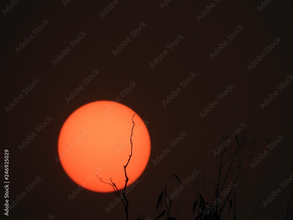 sunset branch sunset branch