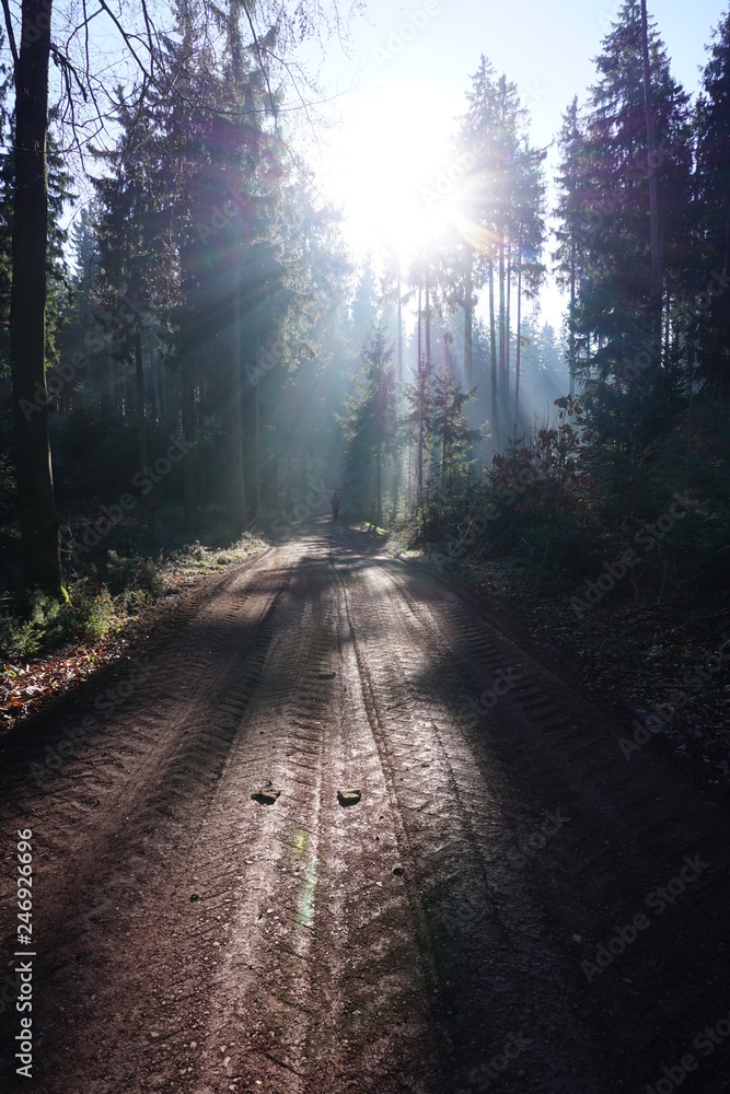 Fototapeta premium Schwarzwald im Herbst