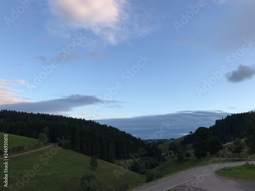 Schwarzwald im Nebel photo