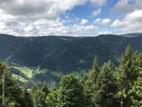 Schwarzwald im Nebel photo