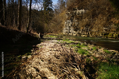 Rottweil / Landschaft im umkreis Rottweil photo