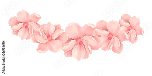 Vector Bali flowers border isolated on transparency grid background