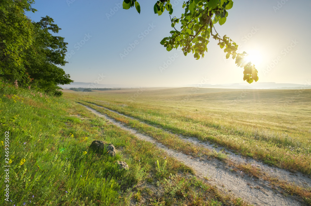Fototapeta premium Lane in meadow and deep blue sky.
