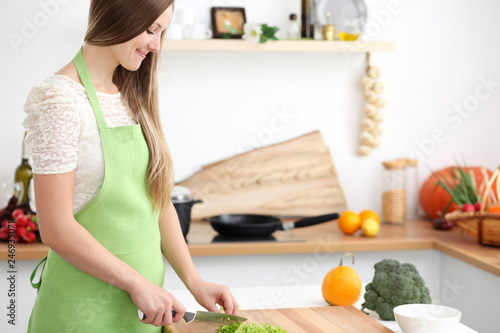 Young woman cooking in the kitchen. Housewife slicing fresh salad