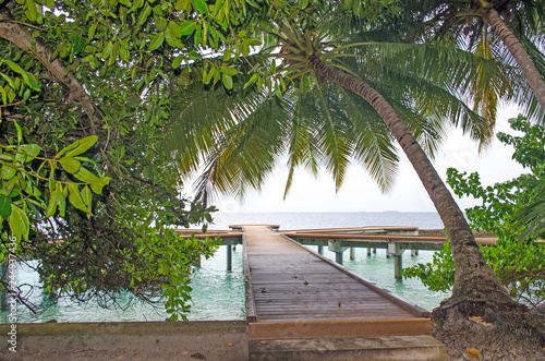 island of Maldives of Fihalhohi beautiful landscape of a palm tree and ocean фототапет