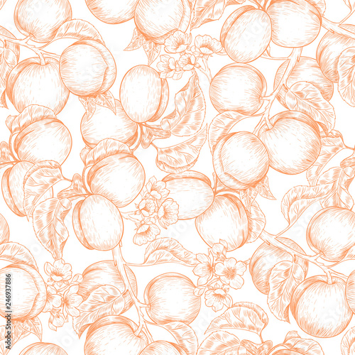 Apricots and flowers. Vector seamless pattern. Vintage style