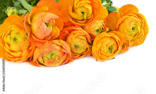 Floral top corner with orange ranunculus flowers
