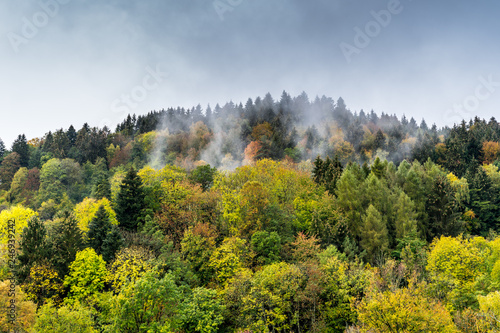 Germany, Magic colorful misty autumn forest landscape