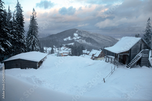 Winter landscape with snow covered firs. Snow covered Christmas trees. Christmas trees in the snow beautiful background. © Olivkairishka