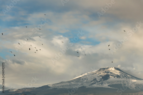 There is a flock of black birds in the blue sky with pink clouds over the volcano Etna with white snow and yellow smoke at sunset