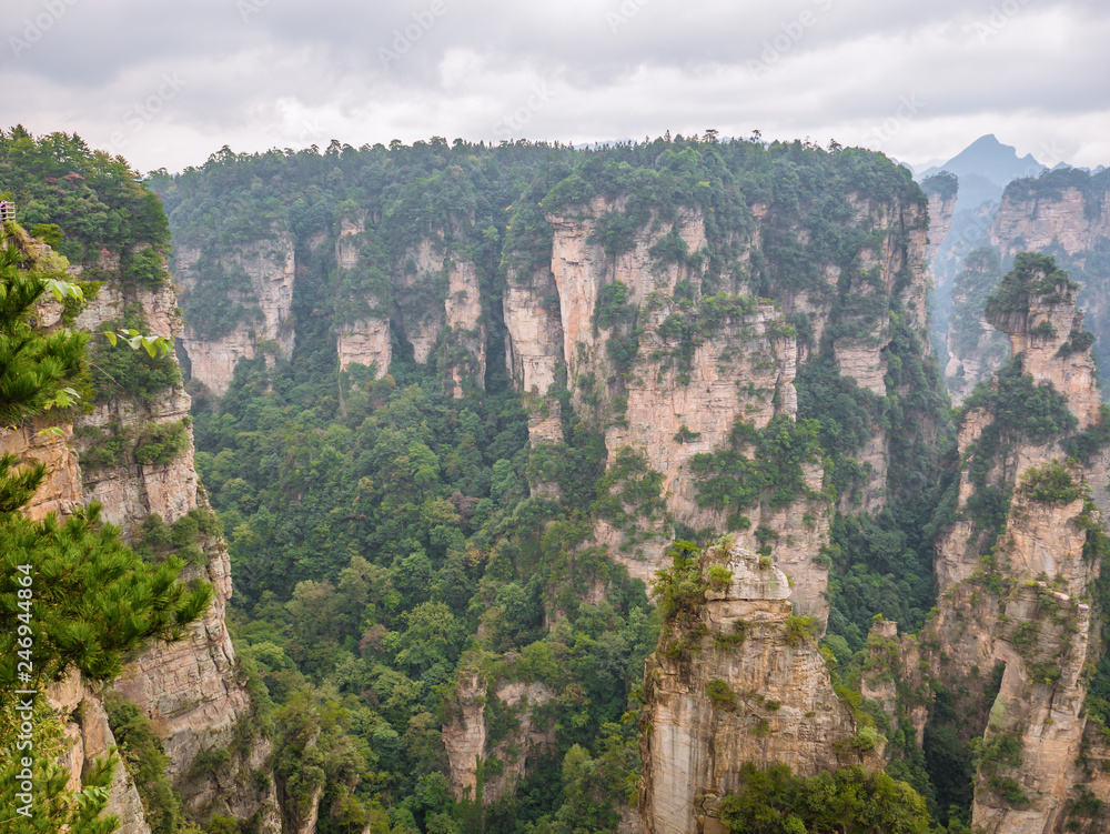Fototapeta premium Beautiful mountain yalley of Yuanjiajie or Avartar mountain at Zhangjiajie National Forest Park in Wulingyuan District Zhangjiajie City China