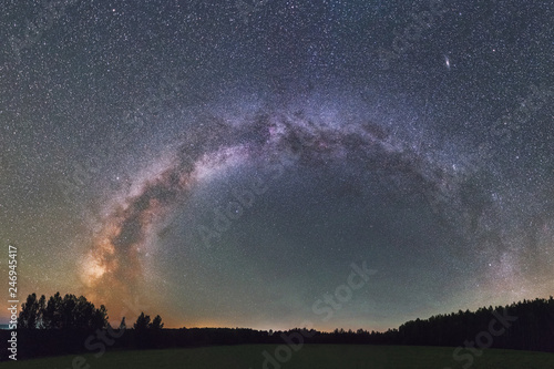 milky way over the forest