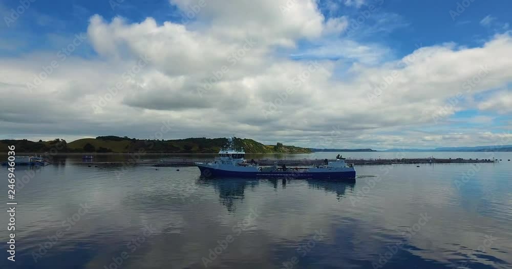 Aerial view of wellboat during harvesting of salmon in captivity, in the waters of the Chiloe archipelago Aerial view of wellboat during harvesting of salmon in captivity, in the waters of the Chiloe archipelago