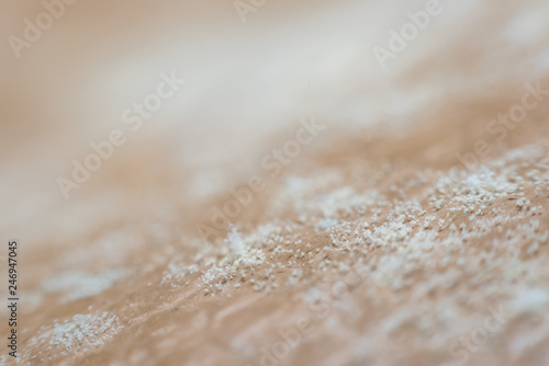 Mold Spores grown on the skin of the leather