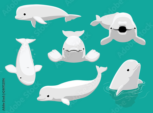 Leinwand Poster Whale Beluga Various Poses Cartoon Cute Vector