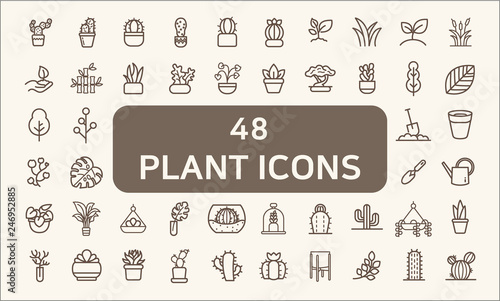 Set of 48 plant and cactus Related Vector Icons.  Contains such Icons as succulent, blooming plant, monstera, leaf, foliage, bough, tree, houseplant, terracotta pot And Other Elements.