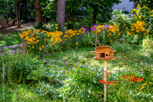 Bright summer garden with flowers and bird feeder, sunny day 