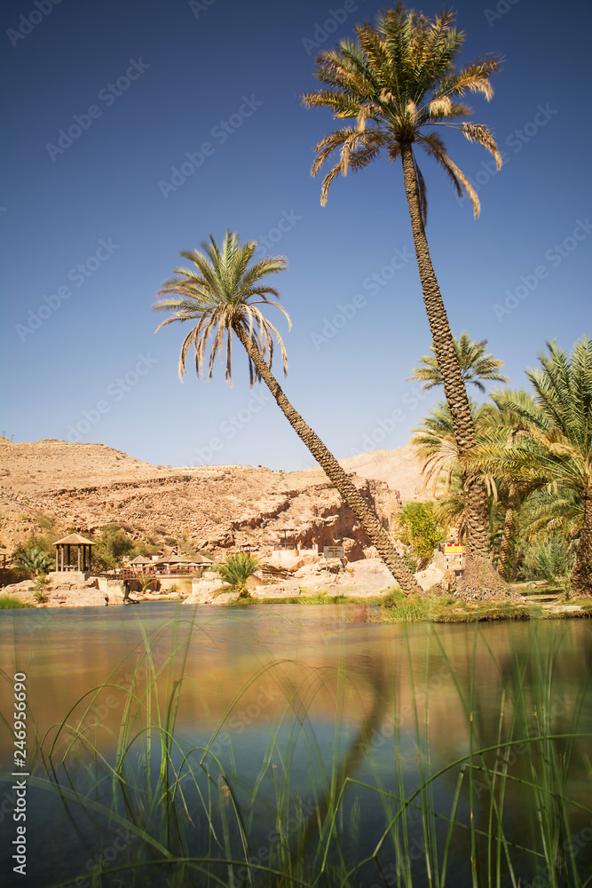 Amazing Lake and oasis with palm trees (Wadi Bani Khalid) in the Omani desert