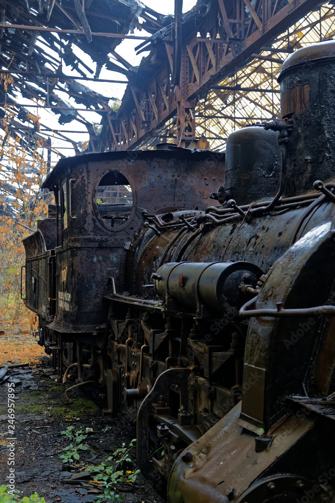 Abandoned locomotive park