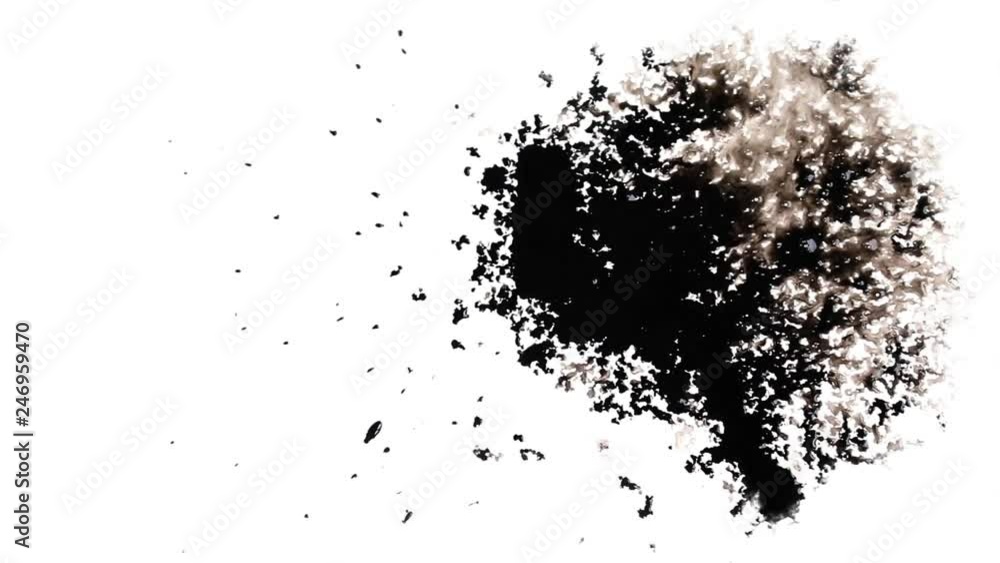 The black and white effect with a drop of ink HD 1920