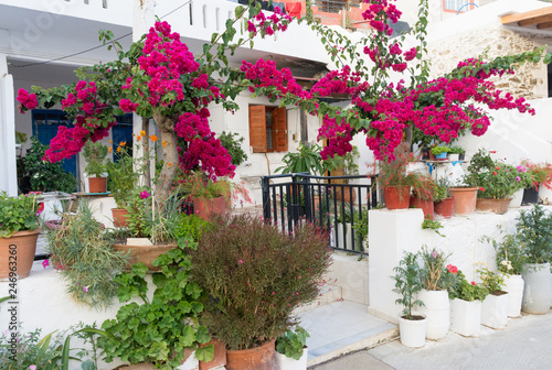 building on the Mediterranean decorated with flowers