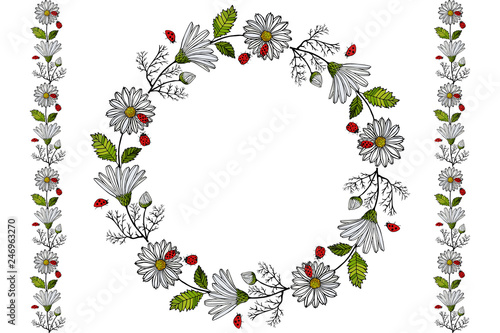 Summer with daisies and ladybug endless horizontal brush. Endless horizontal border and flower garland, circle. Good fit for your design, easy to use. Vector illustration. EPS 10.