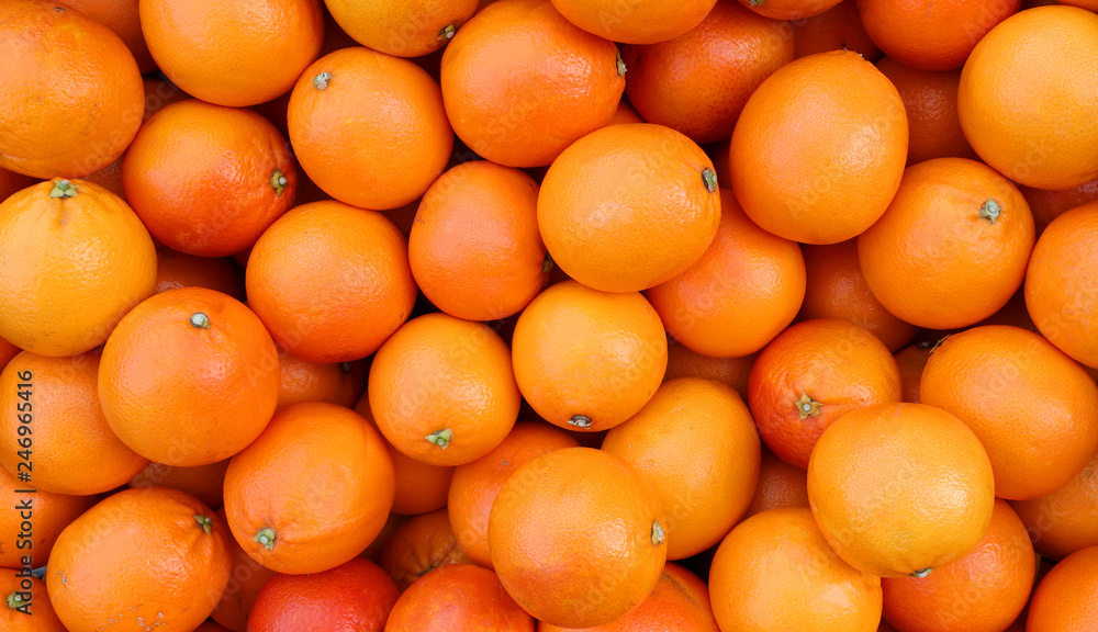 ripe oranges freshly picked from the orchard tree ripe oranges freshly picked from the orchard tree