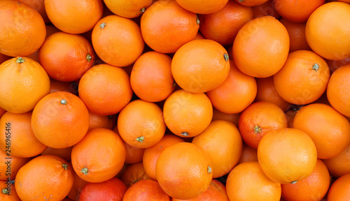 ripe oranges freshly picked from the orchard tree