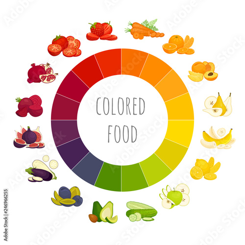 Multicolored vegetables and fruits on the color wheel. Vector.
